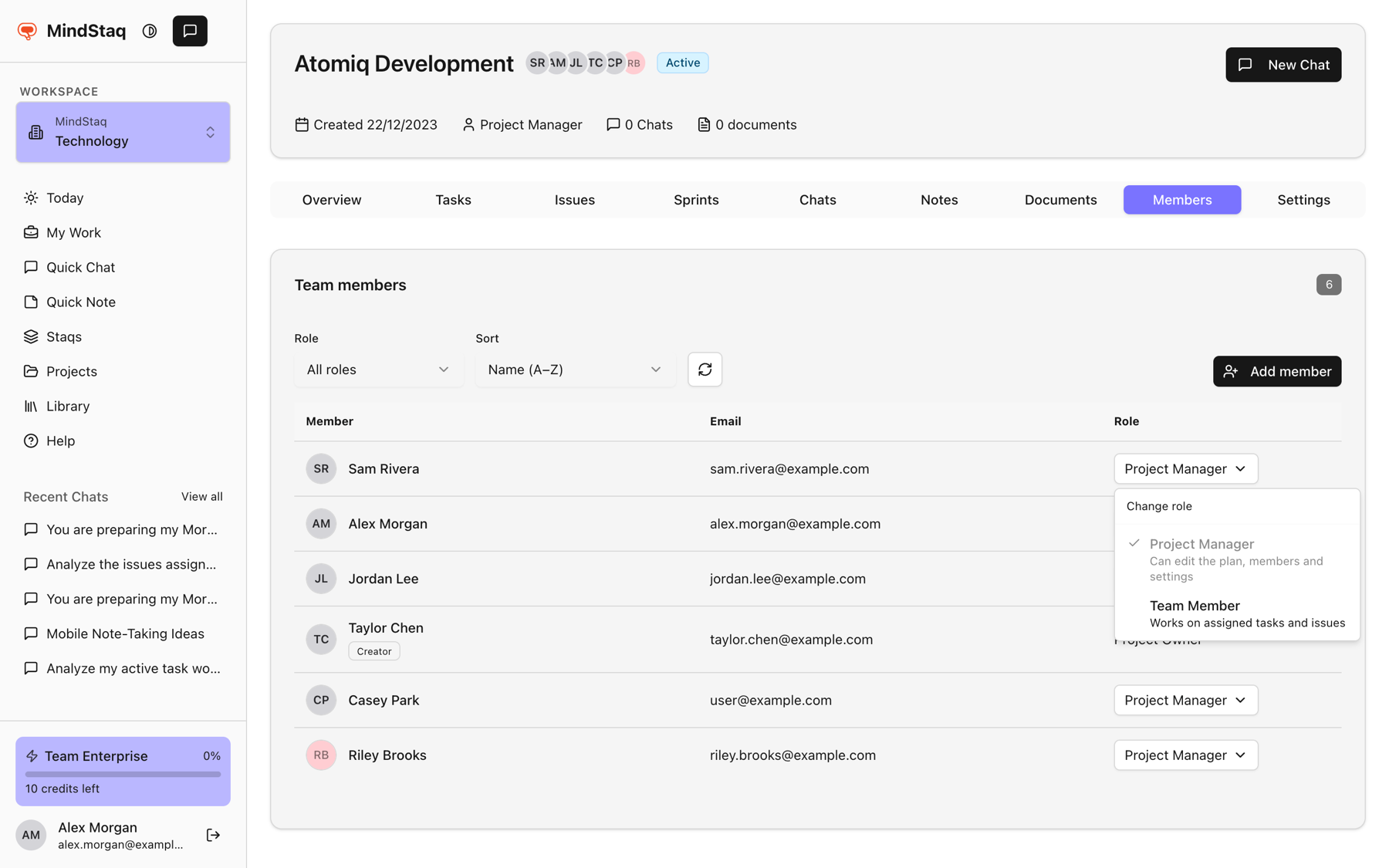 The role menu open on a member, listing Project Manager (can edit the plan, members and settings) and Team Member (works on assigned tasks and issues)